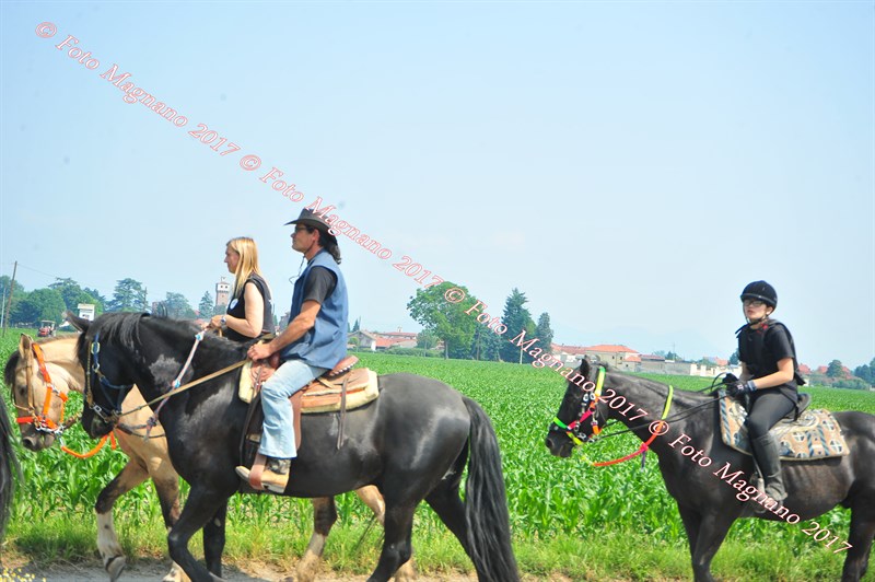 DSC_0857.JPG
